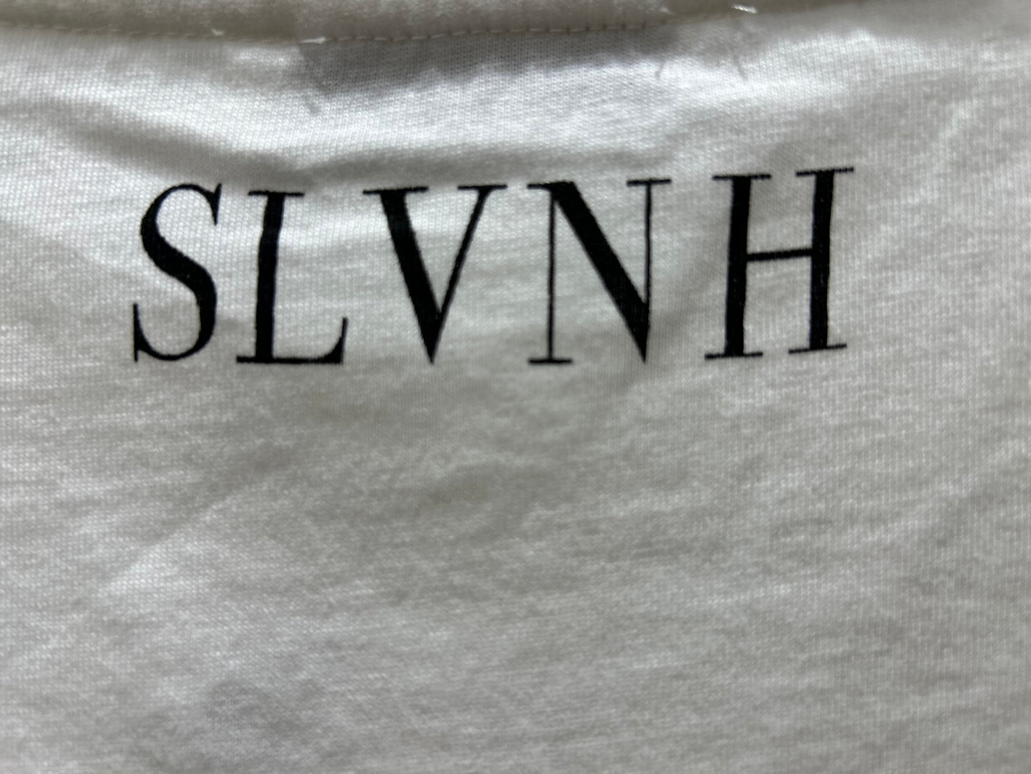 CAMISETA TEXTO SILVIAN HEACH